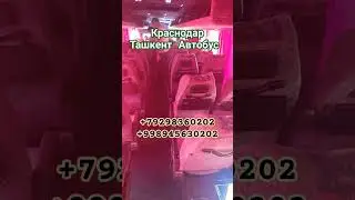 Краснодар Ташкент Автобус #ростов #тошкент #автобус #ташкент #крим #геленджик #автобус #краснодар