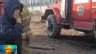 АЙ БҰЛАРДА ҚАТЫРДЫ 🤣
