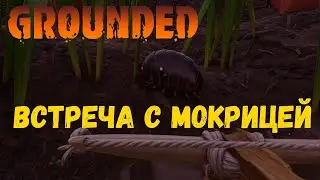 GROUNDED 🍀 Первая встреча с МОКРИЦЕЙ ХИЛОЙ !!!