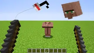 how to get the head of a villager without killing him?