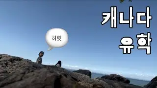 #15 캐나다유학생 주말 브이로그 l 크리스탈비치(Crystal beach),계란말이, 불닭 l 동고