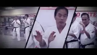 Seminario Enshin karate 2017