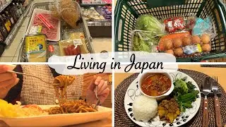 grocery shopping and made two types of curry for dinner🍽️ | living in japan vlog