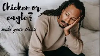 CHICKEN OR EAGLE - make your choice - motivational speeche