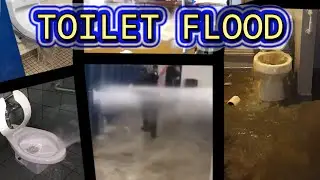TOILET FLOOD COMPILATION