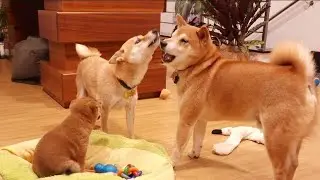 pls play gently with ma kid