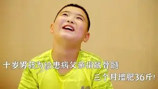 10岁男孩为了给患病父亲捐献骨髓，三个月增肥36斤
