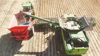 Michigan Dry Bean Harvest 2020