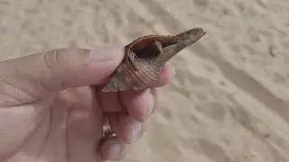 ឆ្នេរអង្កោល-ORKUL BEACH TRIP DAY3