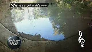 Nature Ambient Sound - Forest River - Unity Asset Store