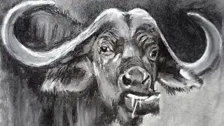 Drawing a BUFFALO (Time-lapse)