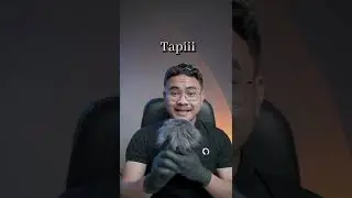 Fosil Dinosaurus di Indonesia ??