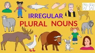 Irregular Plurals: Basic English Grammar Guide #english #grammar #plurals