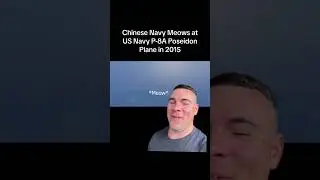 Did that guy just meow through comms? 