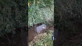 PIÉGEAGE RAGONDIN