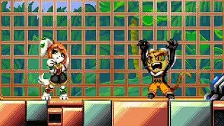 Introducing Aaa (Freedom Planet 2)