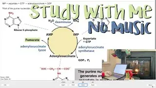 2 Hour Study With Me (no music) - Medical School Edition