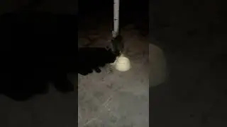 Ура! Для принцессы запас продуктов снова есть!