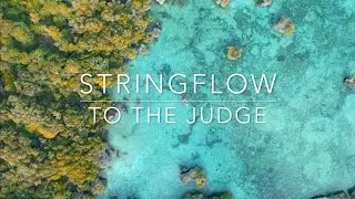 Stringflow - To The Judge 🏝 Tropical deep house music perfect for Summer 2022