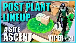 VIPER LINEUPS - ASCENT - Post Plant Snake Bite Setup Guide #21 - A Site