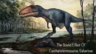 Sound Effects - Carcharodontosaurus Saharicus (V2)