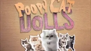 ❀Песня кошек года (Видео не моё)❀