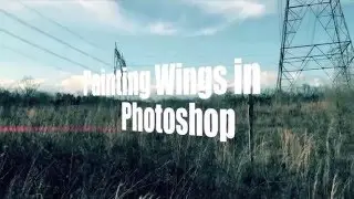 Painting Dragon Wings