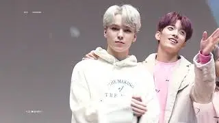 190925 세븐틴 버논 VERNON 코바코홀 팬사인회 Cute cut