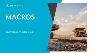 Basic Introduction to Variables in macros | Datamine Software
