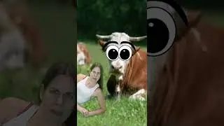 Mooow.. 🐄 @alispagnola #greenscreen #roblox #funny #edit #foryou