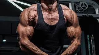 Chest and Shoulders | What’s Next?