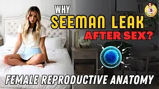 Why Does Sperm Leak From after sex - Seeman leaking Issue from vagina - Ask the Doctor