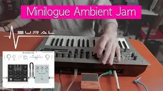 Korg Minilogue + Neural DSP Archetype: Plini