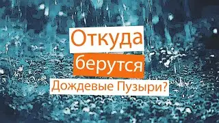Откуда берутся дождевые пузыри? Читаю книгу 
