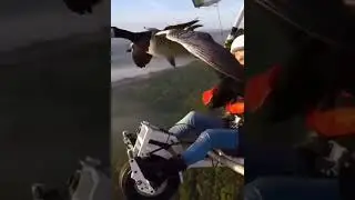 KUŞLARLA BERABER ÖZGÜRCE UÇMAK