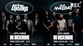 Los Gastro y MayDay despiden el año en Tribus