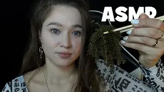 АСМР итинг/мукбанг морского винограда