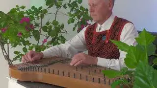 Kandlemees Sander - Trilleri polka