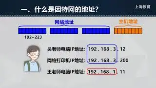 1105 高中 信息科技 华师大社 高1 上 第5单元 因特网的地址和域名