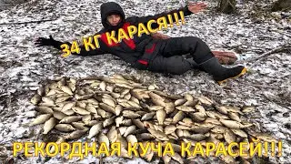 34КГ! СУМАСШЕДШИЙ УЛОВ КАРАСЯ в ноябре на поплавок! Рыбий жир