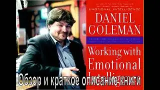 Эмоциональный интеллект на работе.  Дэниел Гоулман