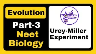 Urey-Miller Experiment | Evolution | Part 3 | Neet | Saumya Maurya MBBS BHU