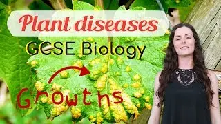 Plant diseases - GCSE Biology (Revision for 2020)