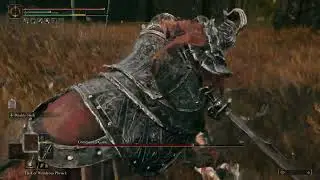 [Elden Ring] Commander Gaius (No Damage/+0 Blessing/2h Melee)