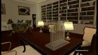 Playstation Mansion - My business desk.