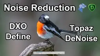 Noise Reduction Software – Lightroom vs Nik Dfine 2 vs Topaz Denoise