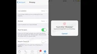 How to enable touch ID or Face ID in WhatsApp on iOS