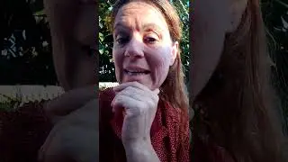 A propos des algues vertes... Bezhin glas, bezhin glas