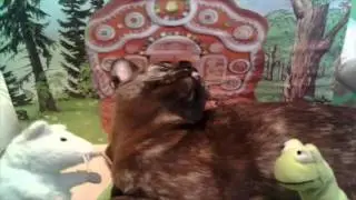 Фольклор. Кисонька-мурысонька.