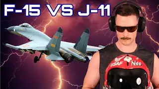Real Fighter Pilot F-15 vs Chinese J-11 | DCS